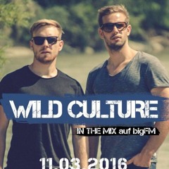 Wild Culture - bigFM MIX [März 2016]
