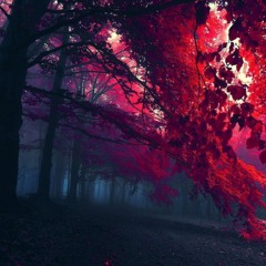 Hot Wind