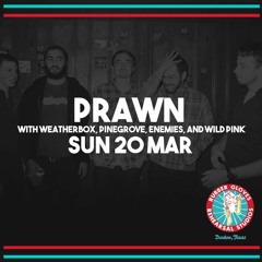 RGRS: Prawn, Weatherbox, Pinegrove, Enemies & Wild Pink