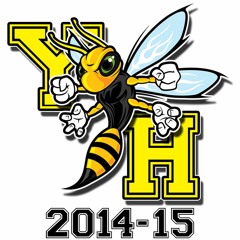 York Hornets 2015 - Group Stunt