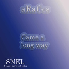 AraCc$ - Came Along Way