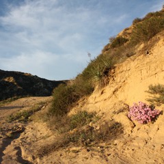 Country Roads Cover (John Denver)