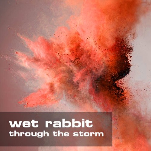 Through The Storm