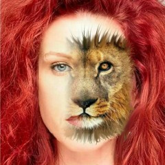 Invader (Conception mix)