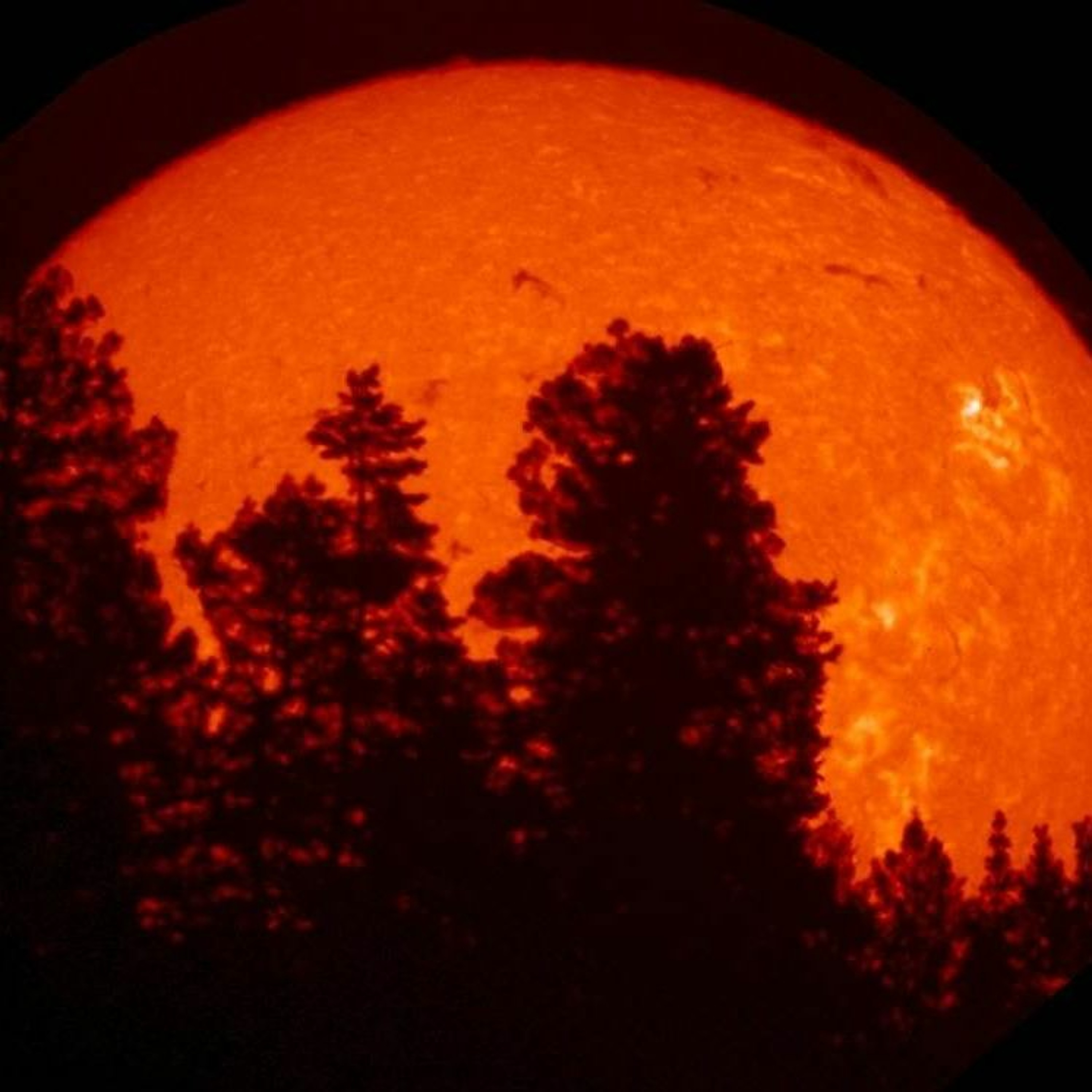 Sunspot episode artwork