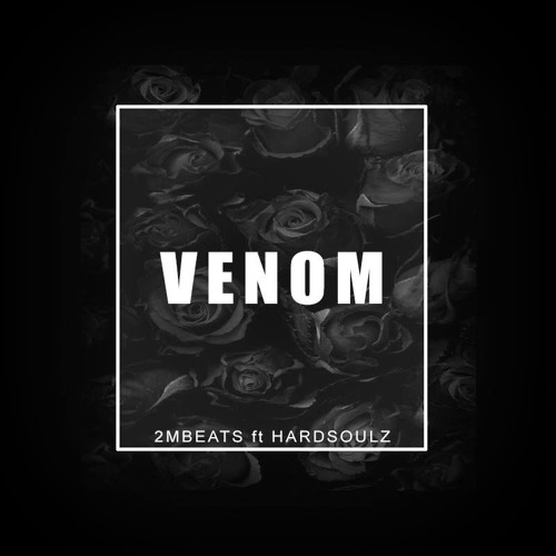 2MBEATS x Hardsoulz - Venom (Original mix)