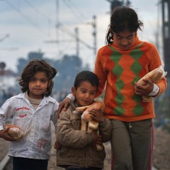 Dove non fiorisce la primavera