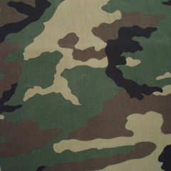 Digital Hardcore/Punk 'n Bass