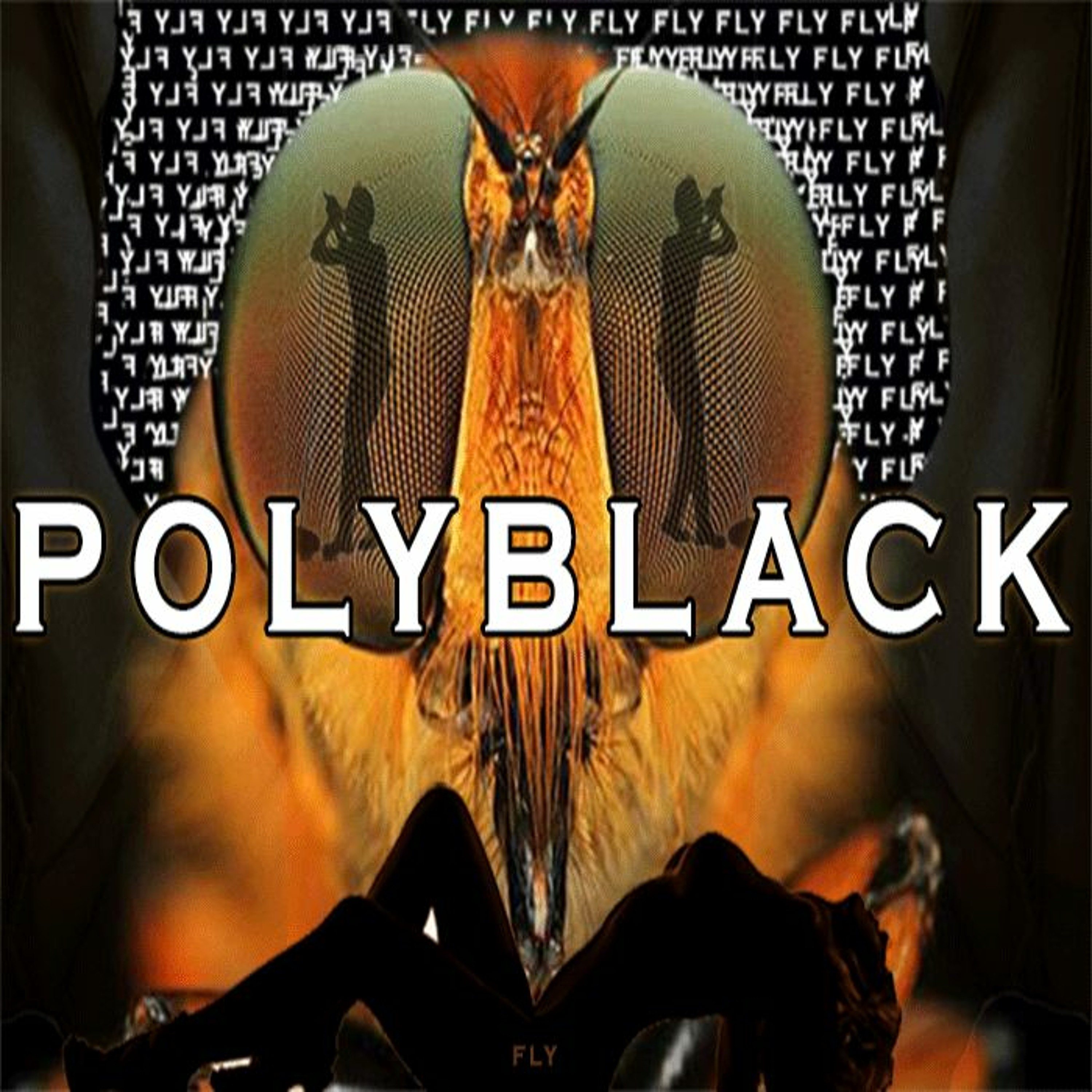 FLY episode artwork