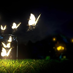 SethX - Beautiful Night