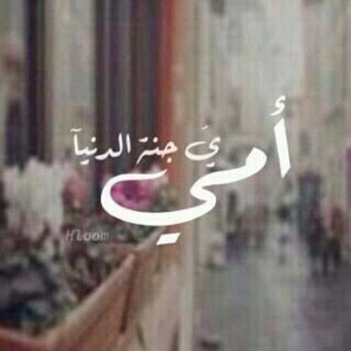 ضميني ضمّه - أشرف زهران وَ محمد نجيب