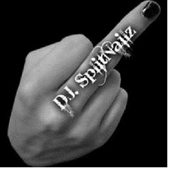 Splitnailz - Kushed Out Mindz (original Mix)