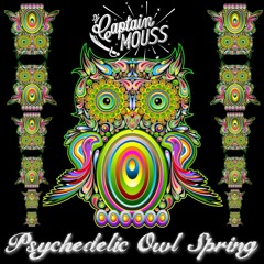 Psychedelic Owl Spring