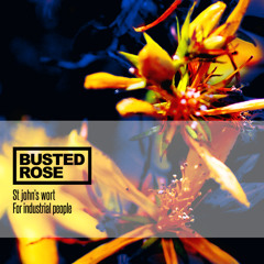 Knop's solution(INSTRUMENTAL)