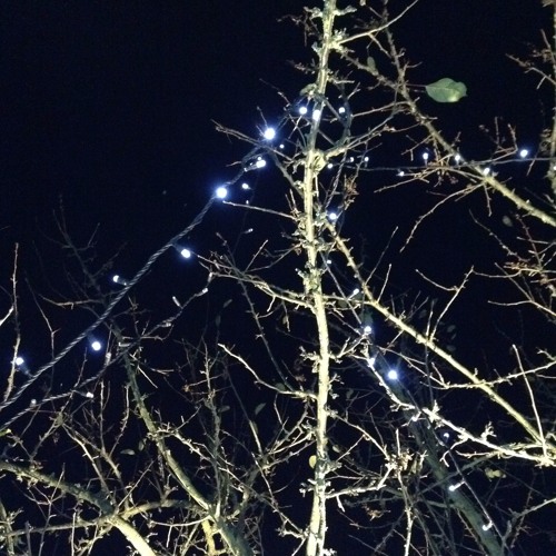 Pepsi Coke Suicide (Elvis Depressedly)