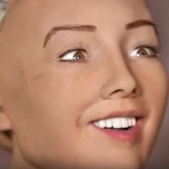 Activated - Destroy The Humans