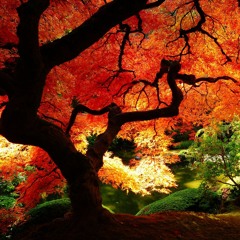 Autumn Lullaby