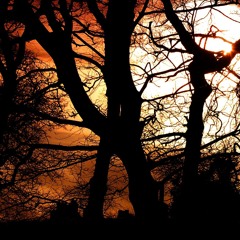 We Dont Mess About Podcast 025 - Mindscan (Deep Dubstep)