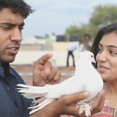 Nenjodu Cherthu - Yuvvh - Music Mojo Season 3 - Kappa TV