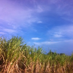 She Will Be Loved - Celina, Justine, Aj, Allaine, Oliver, Janina