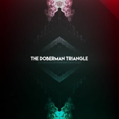 The Interdimensional Licks:  Electro/Future/Fusion/Jazz *(by the Doberman Triangle Crew)