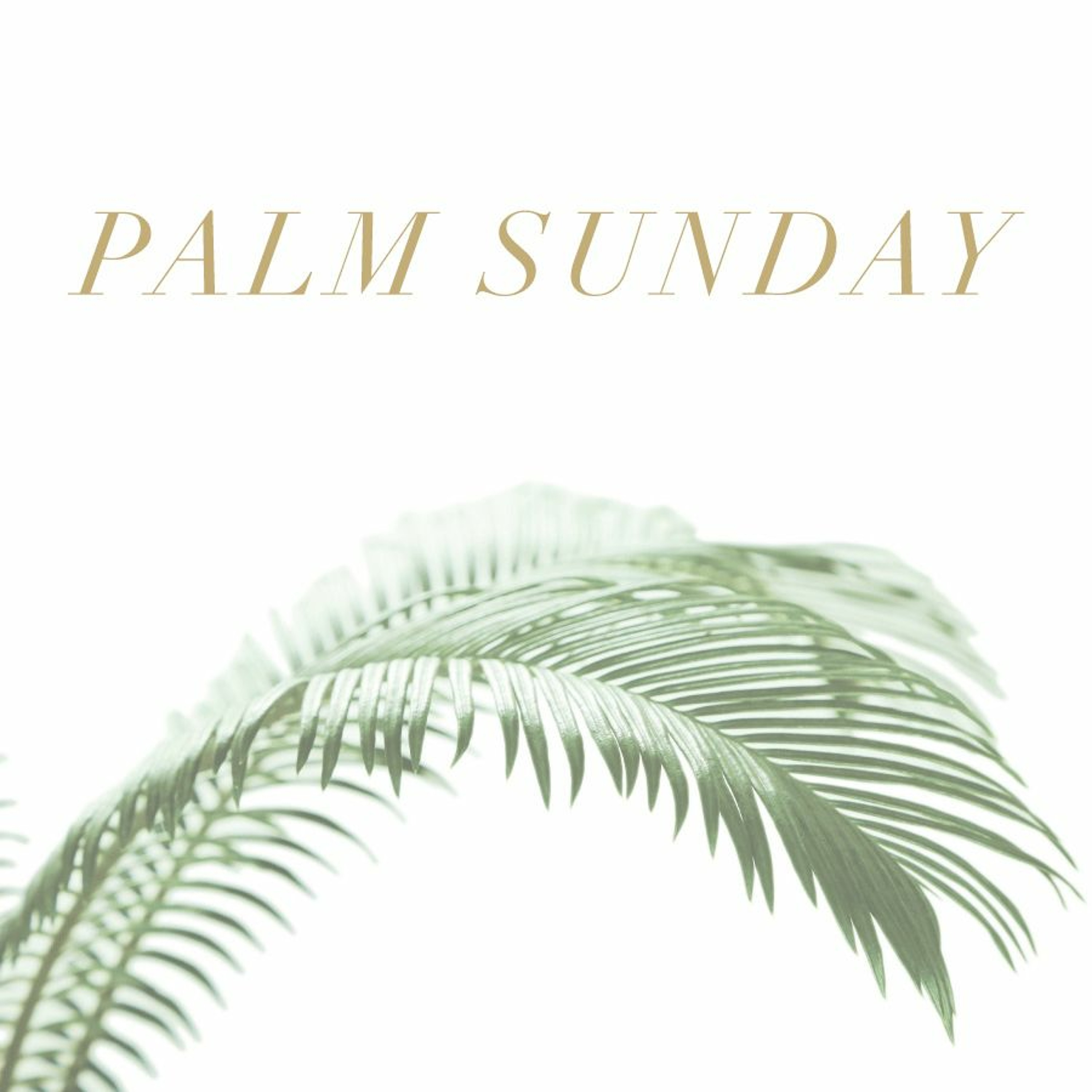 ParkviewCommunityChurch