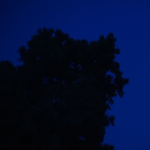 nighttime (video in description)