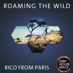 Deep House Space 73: Roaming the Wild (Rico from Paris)