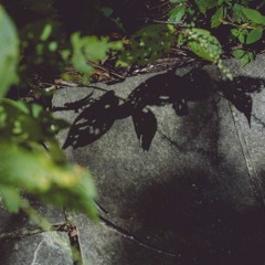 Impassable Voyage