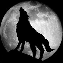 Howl Playlist