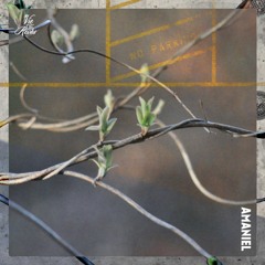 008 ❛ AMANIEL : Fuxing Park Mix ❜