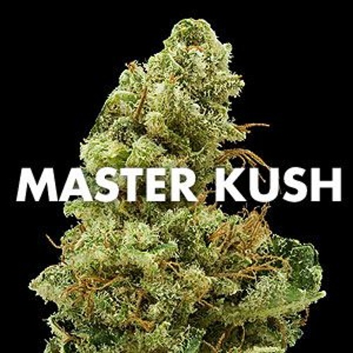 FranTiK Productionz - Master Kush