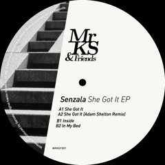 PREMIERE : Senzala - Inside [Mr KS & Friends]