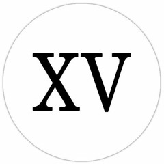 Vợ Tuyệt Vời Nhất - Vũ Duy Khánh (XV Remix)
