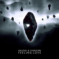 Gallous, D.Anuchin - Feeling Love (Original Mix)