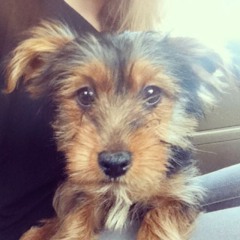 Third Party Equinox Edit