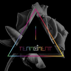 Premiere : Termoment - Alps Top [Systematic Recordings]