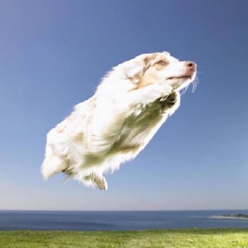 ドキドキ分度器 (w/ 喉電波)