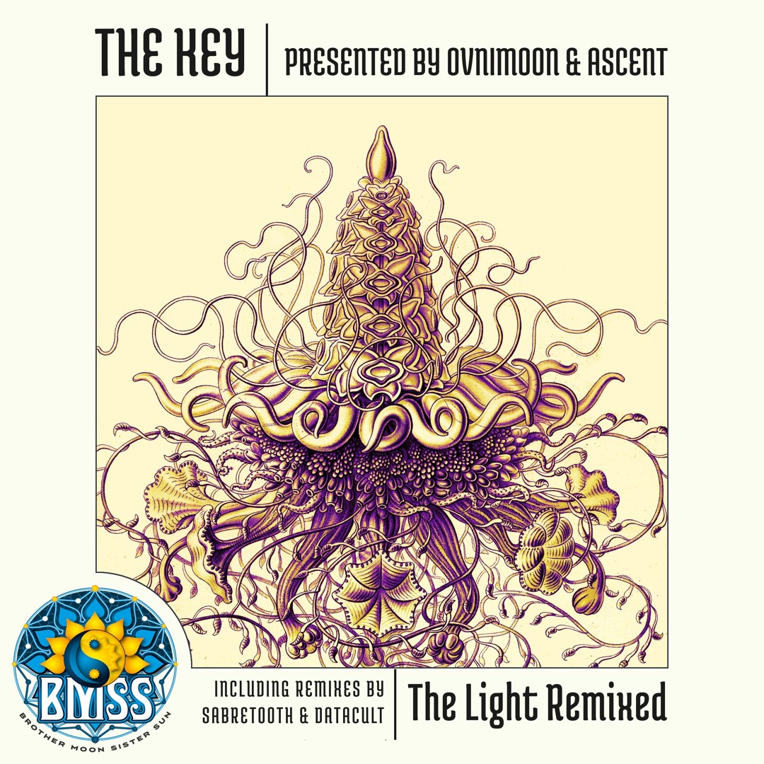 Listen to The Key (Ovnimoon & Ascent) - Tridimensional