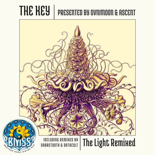 The Key (Ovnimoon & Ascent) - The Voice of the Universe (Sabretooth Remix)