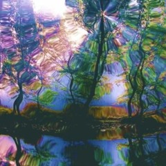 Whonic - Symptomatic