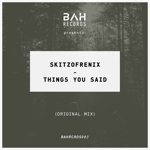 Stream Skitzofrenix Things You Said Original Mix By Bah Records