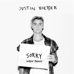 Sorry (W&W Festival Mix) [Free Download]