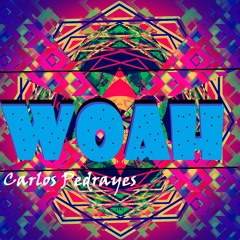 Carlos Pedrayes - WOAH ( Original Mix )