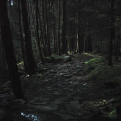 Forest adventure - Gameplay music