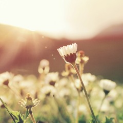 ॐ Wunderpink ॐ - Progressive Psy Session - Happy Spring Equinox [2016/03]