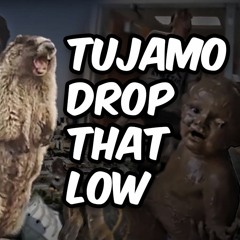 Tujamo - Drop That Low (DJ Potato Remix)