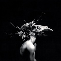 Awake (feat. DM Stith)(from New Words For Old Wounds)