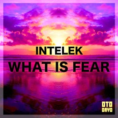 Intelek - What Is Fear