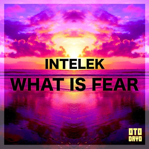 Intelek - What Is Fear